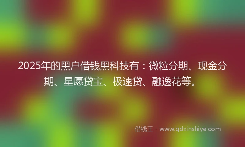2025年的黑户借钱黑科技有：微粒分期、现金分期、星愿贷宝、极速贷、融逸花等。