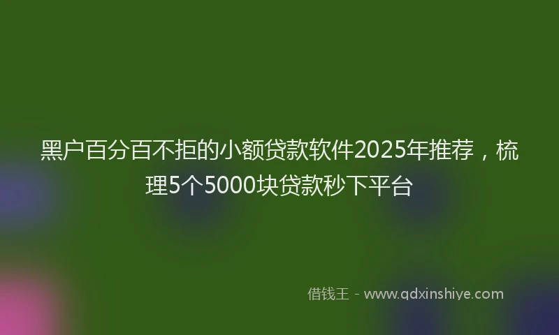 黑户百分百不拒的小额贷款软件2025年推荐，梳理5个5000块贷款秒下平台