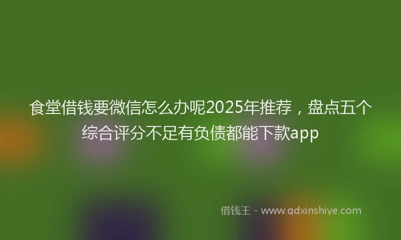 食堂借钱要微信怎么办呢2025年推荐，盘点五个综合评分不足有负债都能下款app