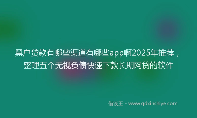 黑户贷款有哪些渠道有哪些app啊2025年推荐，整理五个无视负债快速下款长期网贷的软件