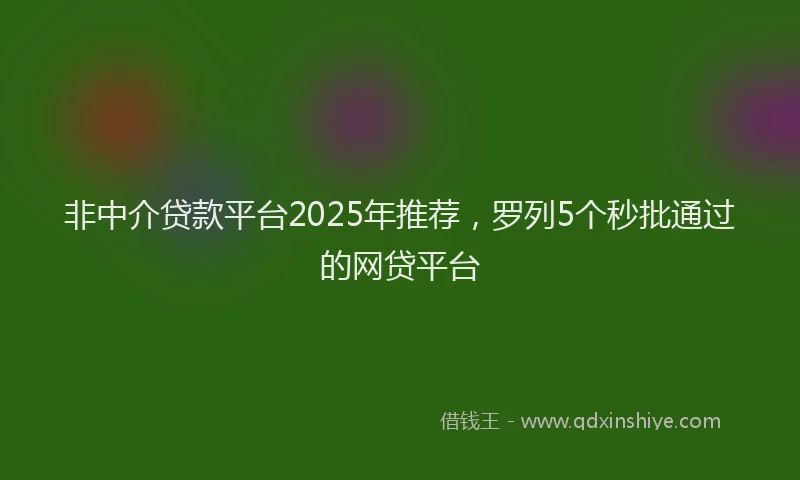 非中介贷款平台2025年推荐，罗列5个秒批通过的网贷平台