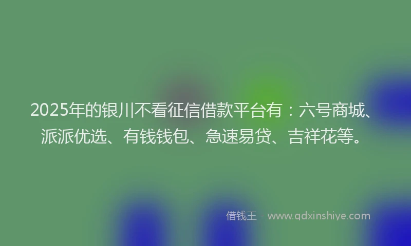 2025年的银川不看征信借款平台有：六号商城、派派优选、有钱钱包、急速易贷、吉祥花等。