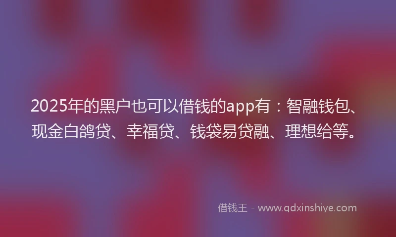 2025年的黑户也可以借钱的app有：智融钱包、现金白鸽贷、幸福贷、钱袋易贷融、理想给等。