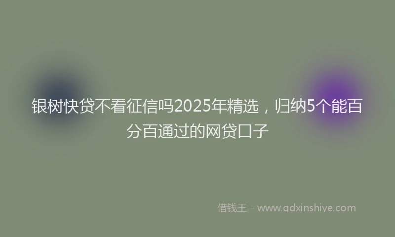 银树快贷不看征信吗2025年精选，归纳5个能百分百通过的网贷口子