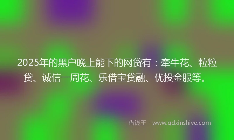 2025年的黑户晚上能下的网贷有：牵牛花、粒粒贷、诚信一周花、乐借宝贷融、优投金服等。
