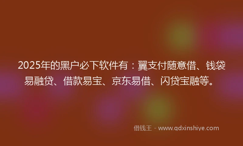 2025年的黑户必下软件有：翼支付随意借、钱袋易融贷、借款易宝、京东易借、闪贷宝融等。