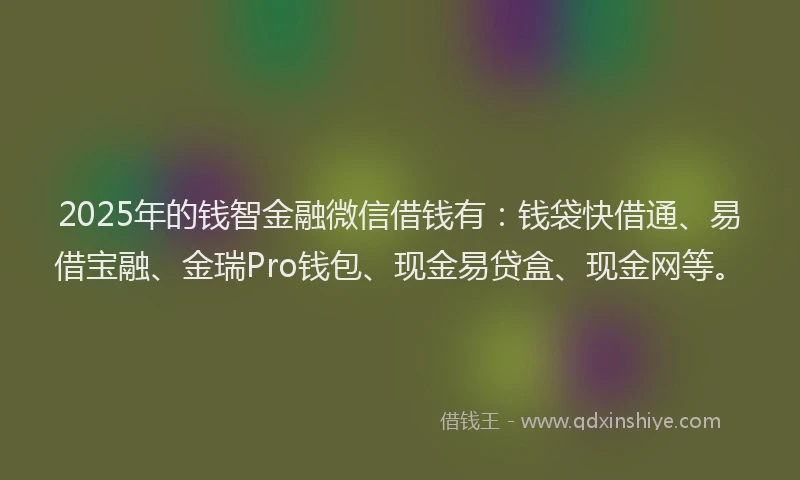 2025年的钱智金融微信借钱有：钱袋快借通、易借宝融、金瑞Pro钱包、现金易贷盒、现金网等。