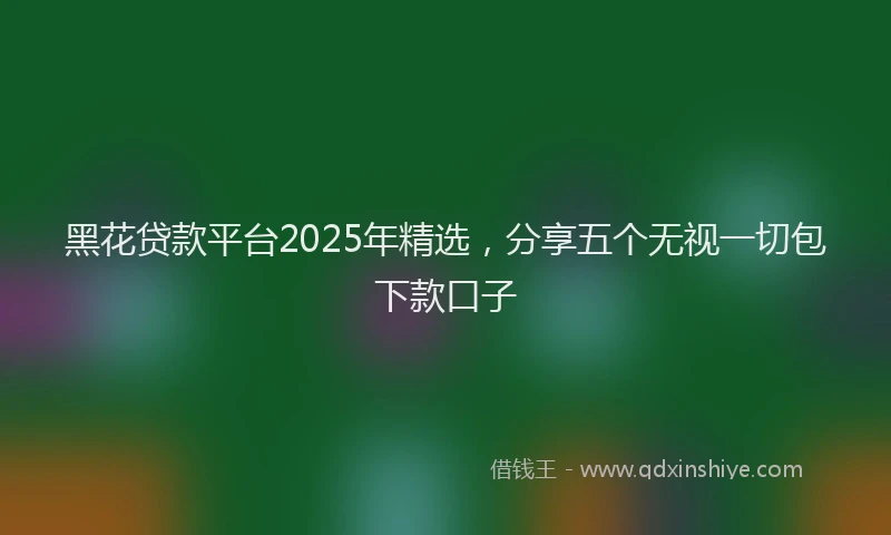 黑花贷款平台2025年精选，分享五个无视一切包下款口子