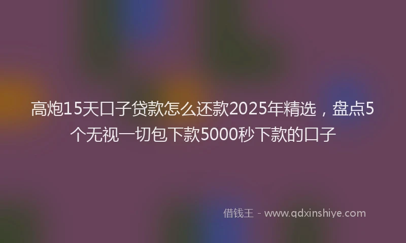 高炮15天口子贷款怎么还款2025年精选，盘点5个无视一切包下款5000秒下款的口子