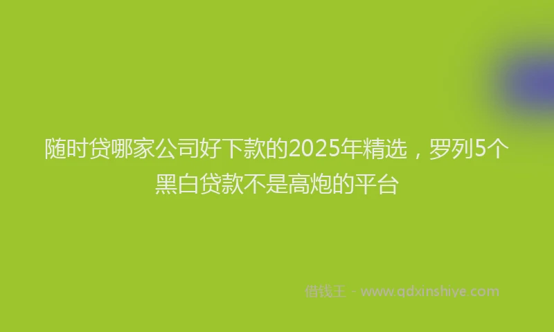 随时贷哪家公司好下款的2025年精选，罗列5个黑白贷款不是高炮的平台