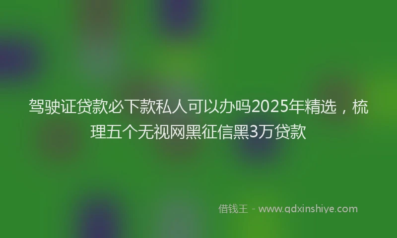 驾驶证贷款必下款私人可以办吗2025年精选，梳理五个无视网黑征信黑3万贷款