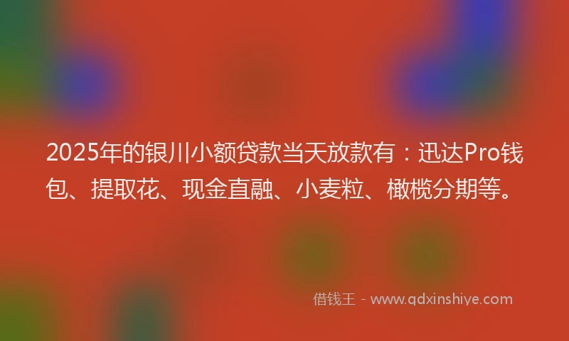2025年的银川小额贷款当天放款有：迅达Pro钱包、提取花、现金直融、小麦粒、橄榄分期等。