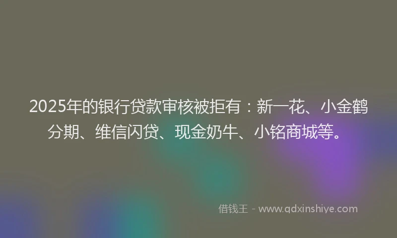 2025年的银行贷款审核被拒有：新一花、小金鹤分期、维信闪贷、现金奶牛、小铭商城等。