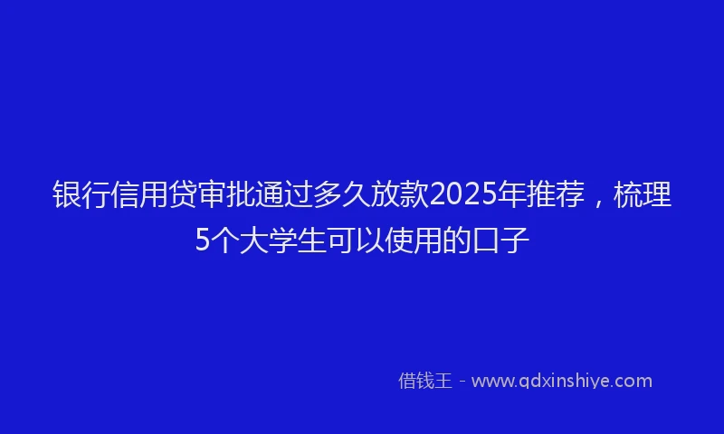 银行信用贷审批通过多久放款2025年推荐，梳理5个大学生可以使用的口子