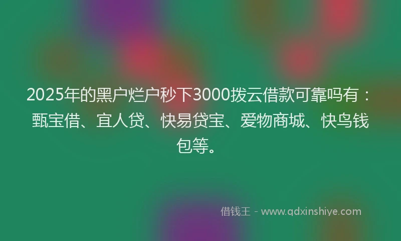 2025年的黑户烂户秒下3000拨云借款可靠吗有：甄宝借、宜人贷、快易贷宝、爱物商城、快鸟钱包等。