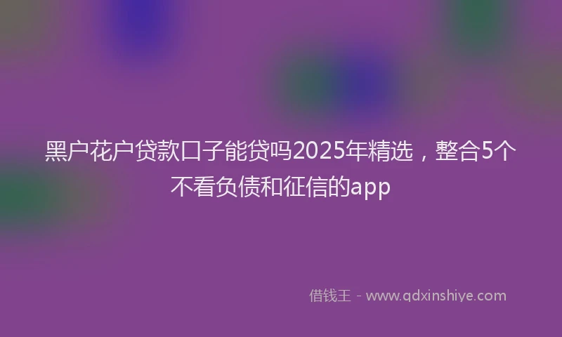 黑户花户贷款口子能贷吗2025年精选，整合5个不看负债和征信的app