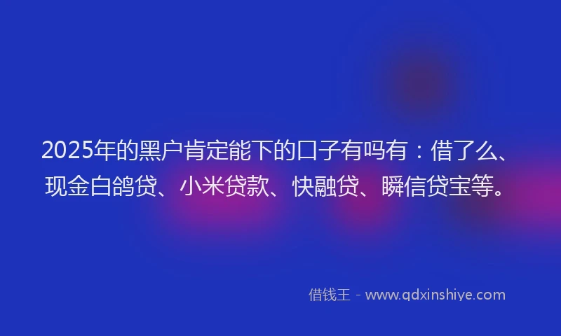 2025年的黑户肯定能下的口子有吗有：借了么、现金白鸽贷、小米贷款、快融贷、瞬信贷宝等。