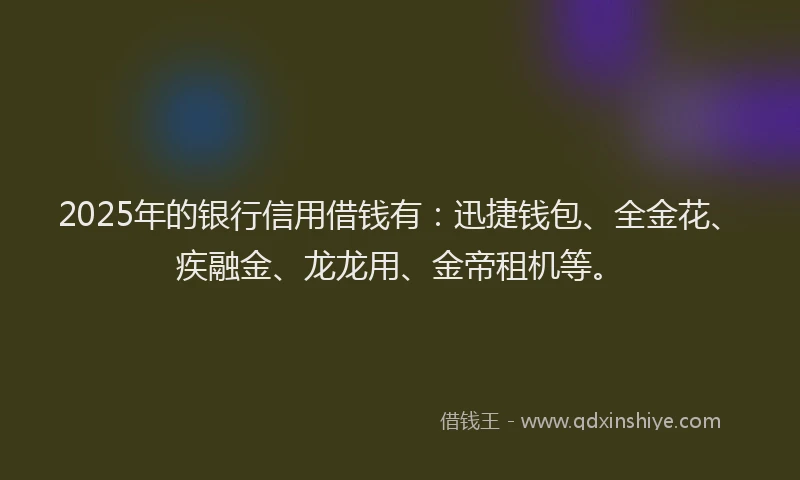 2025年的银行信用借钱有：迅捷钱包、全金花、疾融金、龙龙用、金帝租机等。
