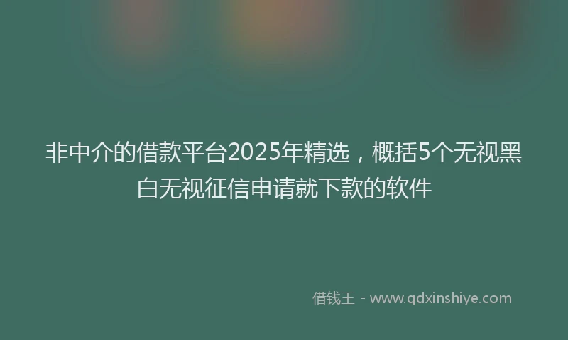 非中介的借款平台2025年精选，概括5个无视黑白无视征信申请就下款的软件