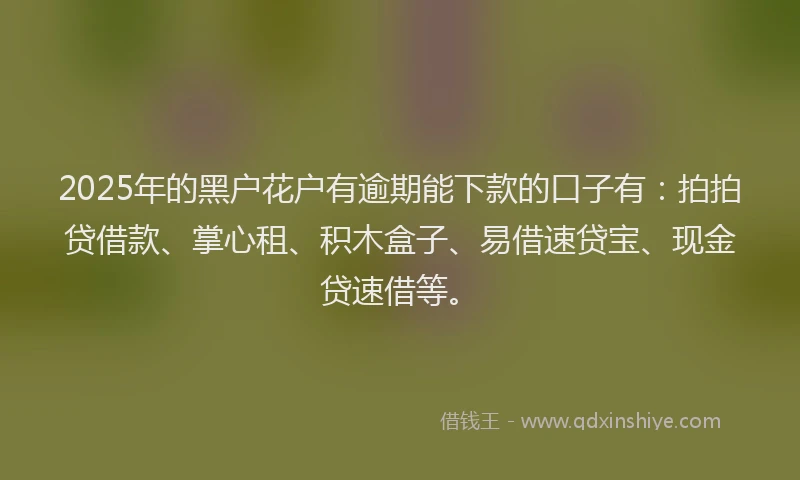 2025年的黑户花户有逾期能下款的口子有：拍拍贷借款、掌心租、积木盒子、易借速贷宝、现金贷速借等。