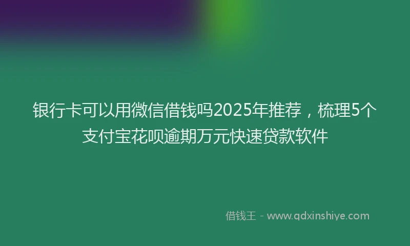银行卡可以用微信借钱吗2025年推荐，梳理5个支付宝花呗逾期万元快速贷款软件