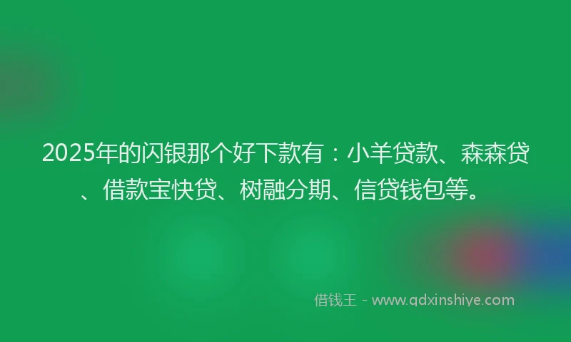 2025年的闪银那个好下款有：小羊贷款、森森贷、借款宝快贷、树融分期、信贷钱包等。
