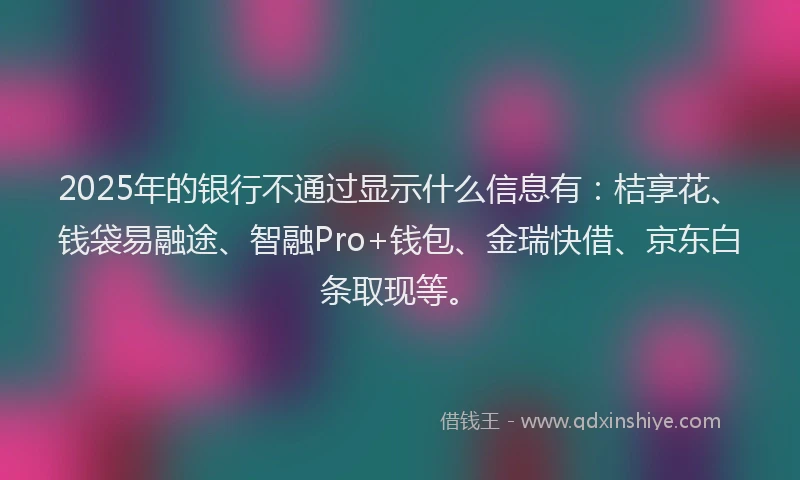 2025年的银行不通过显示什么信息有：桔享花、钱袋易融途、智融Pro+钱包、金瑞快借、京东白条取现等。
