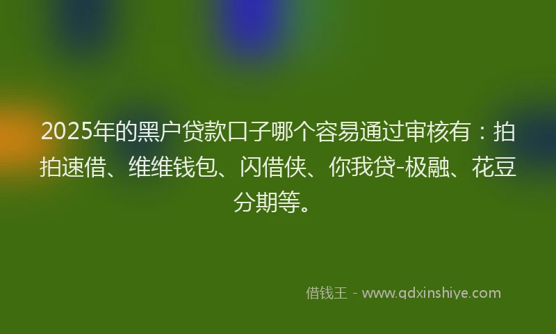 2025年的黑户贷款口子哪个容易通过审核有：拍拍速借、维维钱包、闪借侠、你我贷-极融、花豆分期等。
