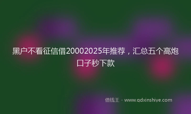 黑户不看征信借20002025年推荐，汇总五个高炮口子秒下款