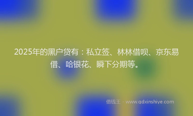 2025年的黑户贷有：私立签、林林借呗、京东易借、哈银花、瞬下分期等。