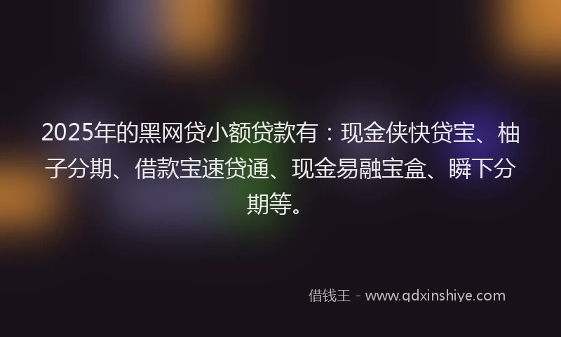 2025年的黑网贷小额贷款有：现金侠快贷宝、柚子分期、借款宝速贷通、现金易融宝盒、瞬下分期等。