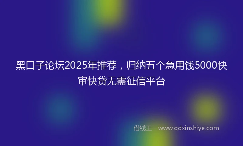 黑口子论坛2025年推荐，归纳五个急用钱5000快审快贷无需征信平台