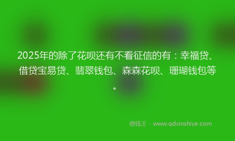 2025年的除了花呗还有不看征信的有：幸福贷、借贷宝易贷、翡翠钱包、森森花呗、珊瑚钱包等。