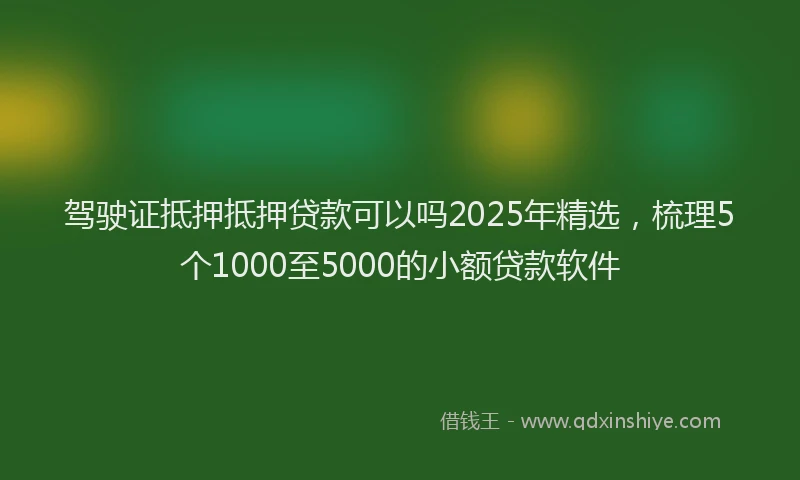 驾驶证抵押抵押贷款可以吗2025年精选，梳理5个1000至5000的小额贷款软件