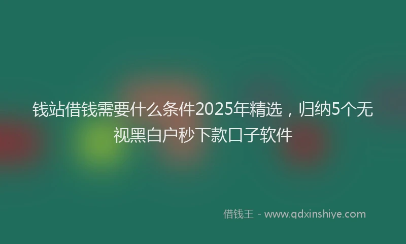 钱站借钱需要什么条件2025年精选，归纳5个无视黑白户秒下款口子软件