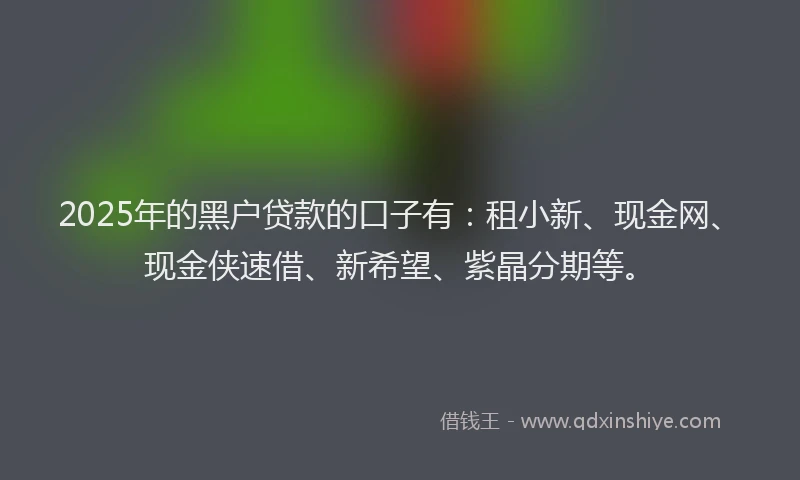 2025年的黑户贷款的口子有：租小新、现金网、现金侠速借、新希望、紫晶分期等。