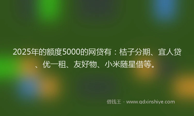 2025年的额度5000的网贷有：桔子分期、宜人贷、优一租、友好物、小米随星借等。