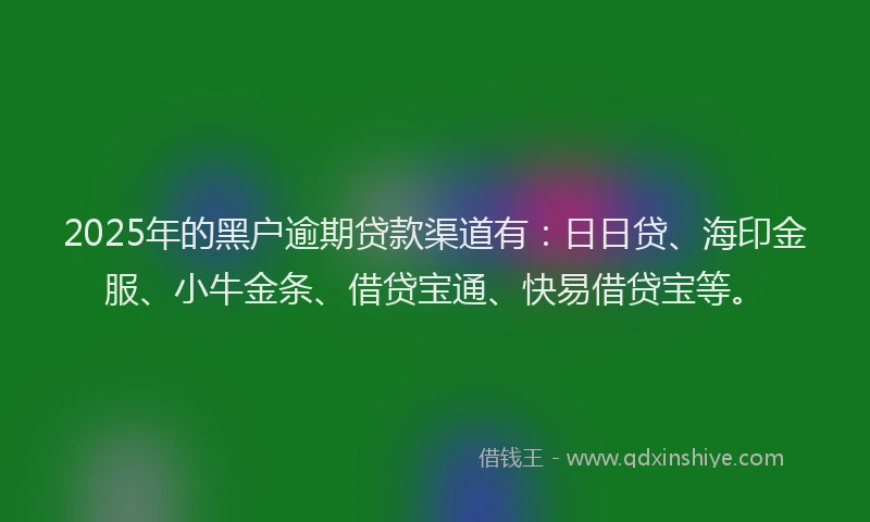 2025年的黑户逾期贷款渠道有：日日贷、海印金服、小牛金条、借贷宝通、快易借贷宝等。
