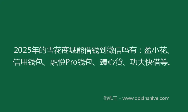 2025年的雪花商城能借钱到微信吗有：盈小花、信用钱包、融悦Pro钱包、臻心贷、功夫快借等。