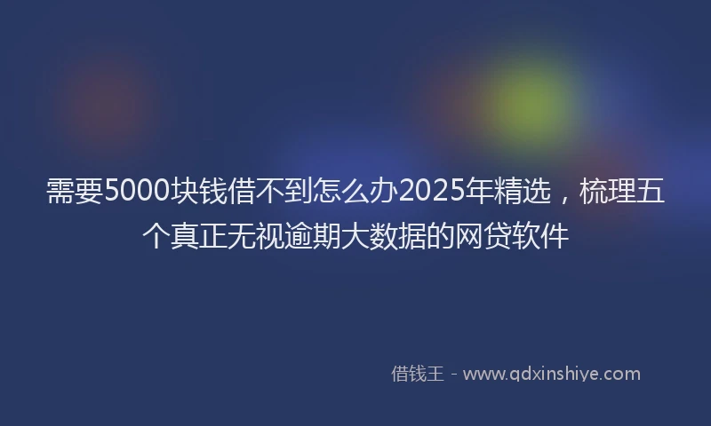 需要5000块钱借不到怎么办2025年精选，梳理五个真正无视逾期大数据的网贷软件