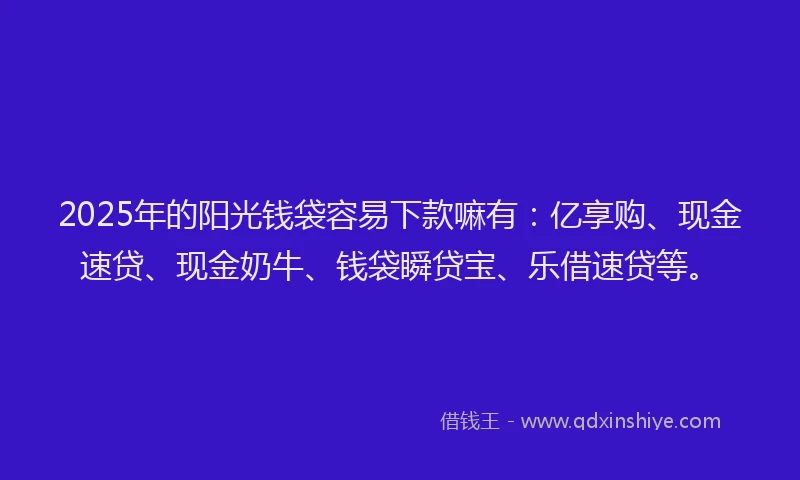 2025年的阳光钱袋容易下款嘛有：亿享购、现金速贷、现金奶牛、钱袋瞬贷宝、乐借速贷等。