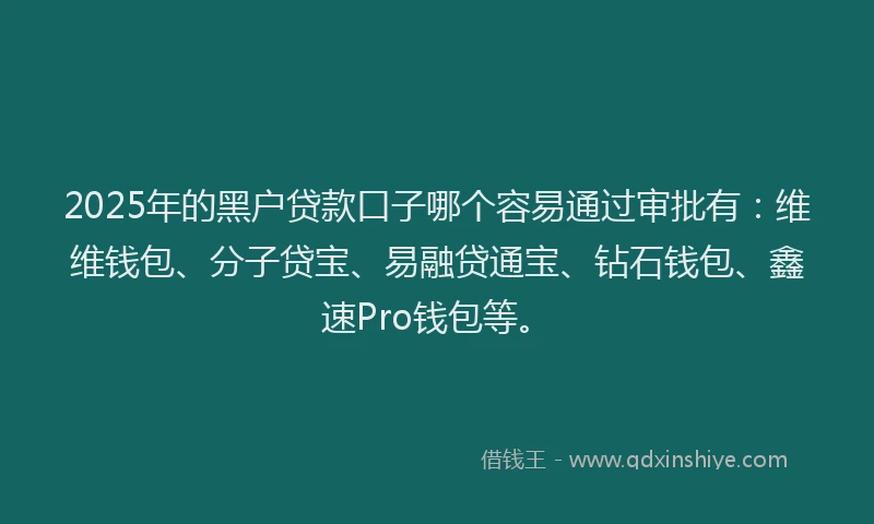 2025年的黑户贷款口子哪个容易通过审批有：维维钱包、分子贷宝、易融贷通宝、钻石钱包、鑫速Pro钱包等。