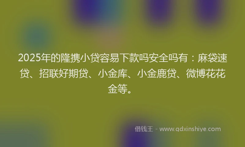 2025年的隆携小贷容易下款吗安全吗有：麻袋速贷、招联好期贷、小金库、小金鹿贷、微博花花金等。