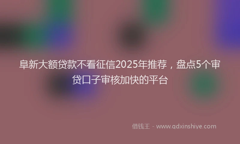 阜新大额贷款不看征信2025年推荐，盘点5个审贷口子审核加快的平台