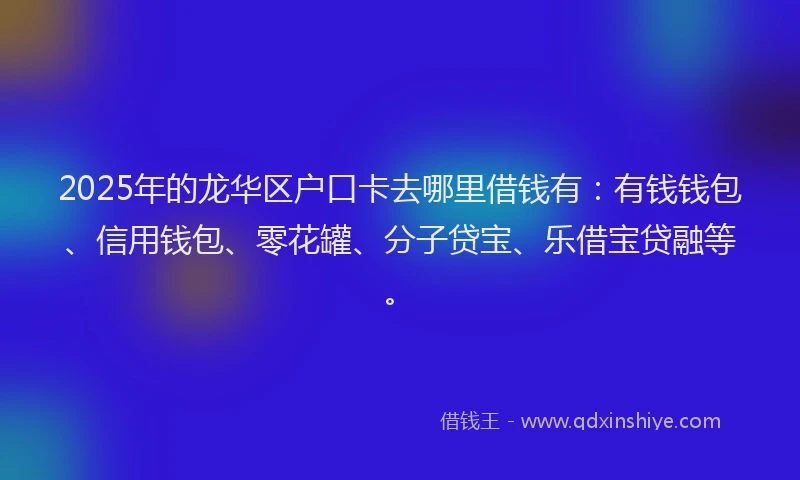 2025年的龙华区户口卡去哪里借钱有：有钱钱包、信用钱包、零花罐、分子贷宝、乐借宝贷融等。