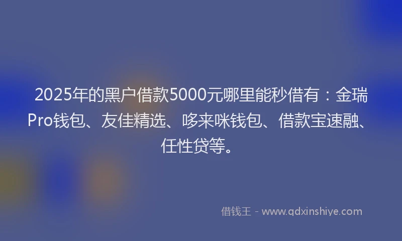 2025年的黑户借款5000元哪里能秒借有：金瑞Pro钱包、友佳精选、哆来咪钱包、借款宝速融、任性贷等。