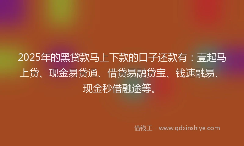 2025年的黑贷款马上下款的口子还款有：壹起马上贷、现金易贷通、借贷易融贷宝、钱速融易、现金秒借融途等。