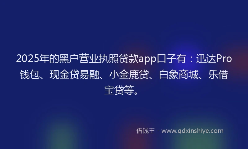 2025年的黑户营业执照贷款app口子有：迅达Pro钱包、现金贷易融、小金鹿贷、白象商城、乐借宝贷等。
