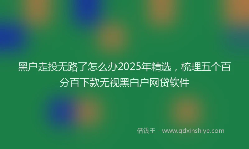 黑户走投无路了怎么办2025年精选，梳理五个百分百下款无视黑白户网贷软件