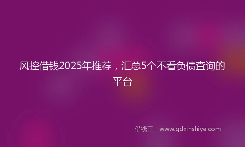 风控借钱2025年推荐，汇总5个不看负债查询的平台